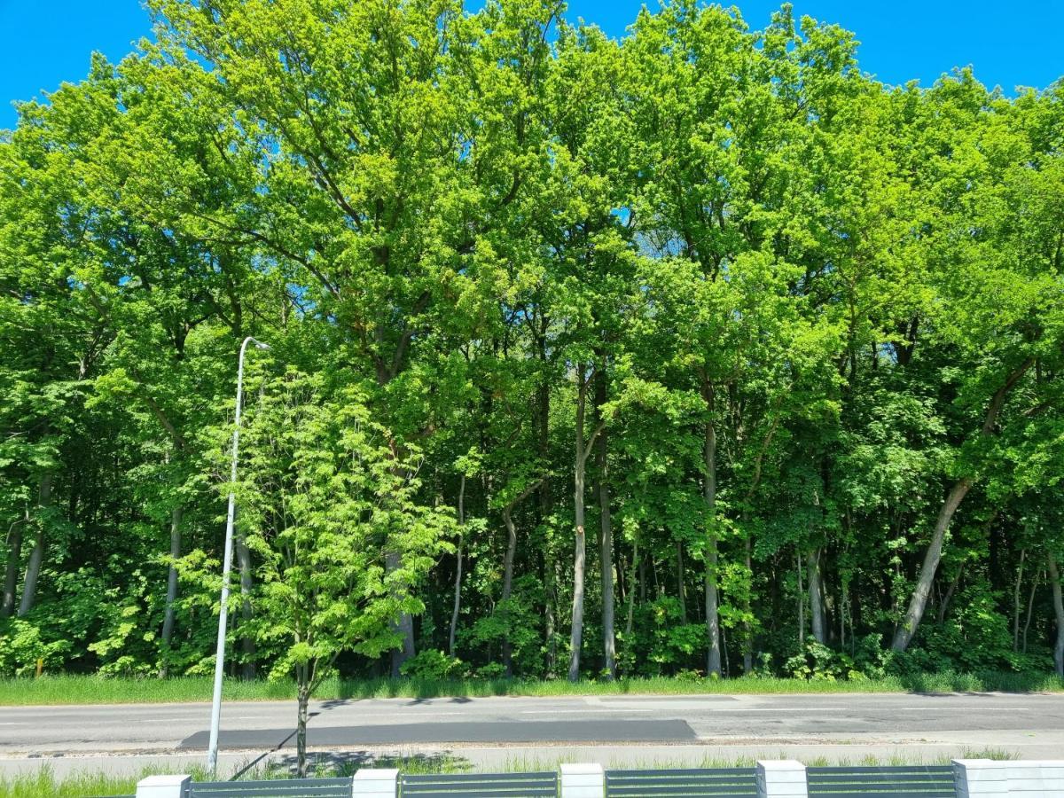 M&K Apartament Baltyk - Sobieszewo - Wyspa Sobieszewska Gdansk Luaran gambar